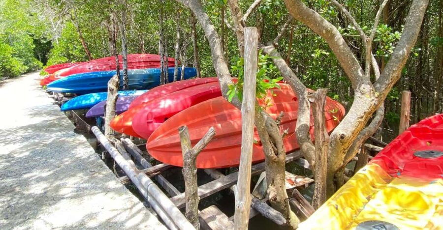 koh-lantamangrove-elephant-camp-half-day-tour