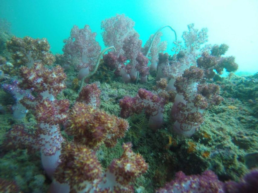 krabi-freediving-and-snorkeling-at-yawasam-and-talu-island