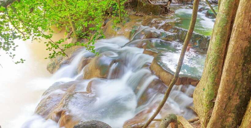 krabi-klongtom-hot-spring-emerald-pool-and-tiger-cave-tour