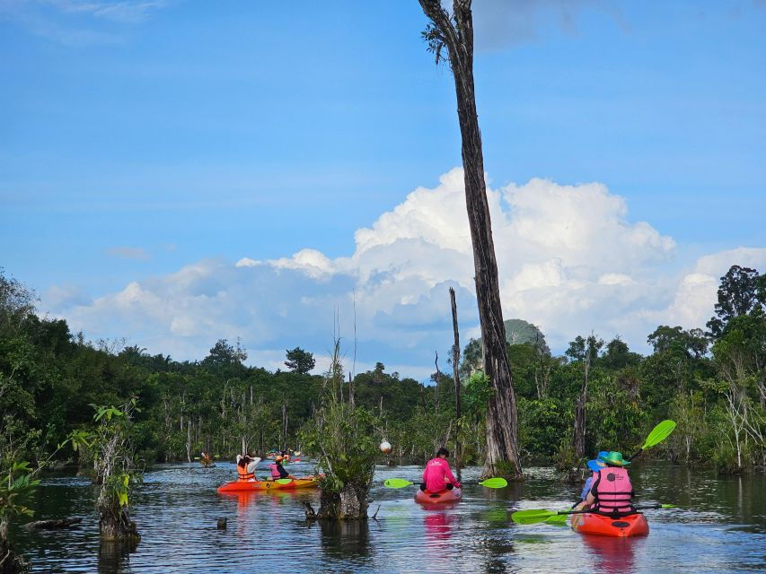 krabi-south-kayak-klong-root-kayaking-tour