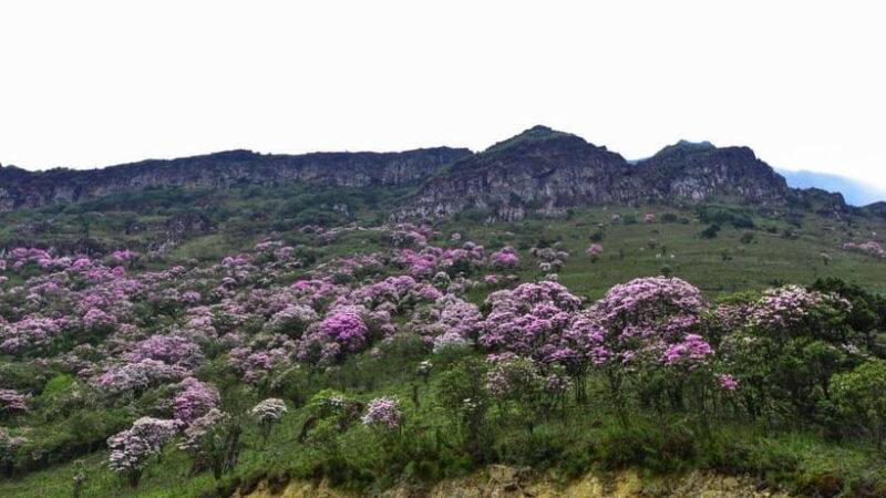 kunming-jiaozi-sedan-chair-snow-mountain-hiking-day-trip