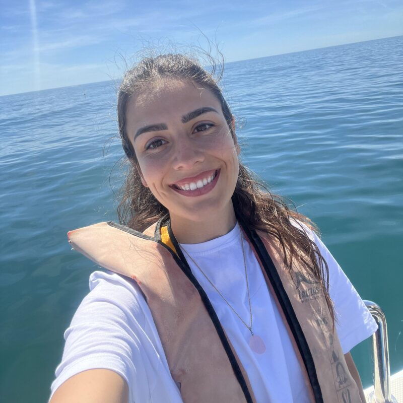 lagos-dolphin-watch-tour-with-professional-marine-biologist