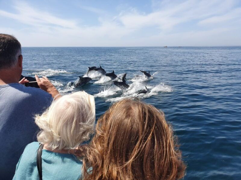 lagos-dolphin-watching-catamaran-cruise
