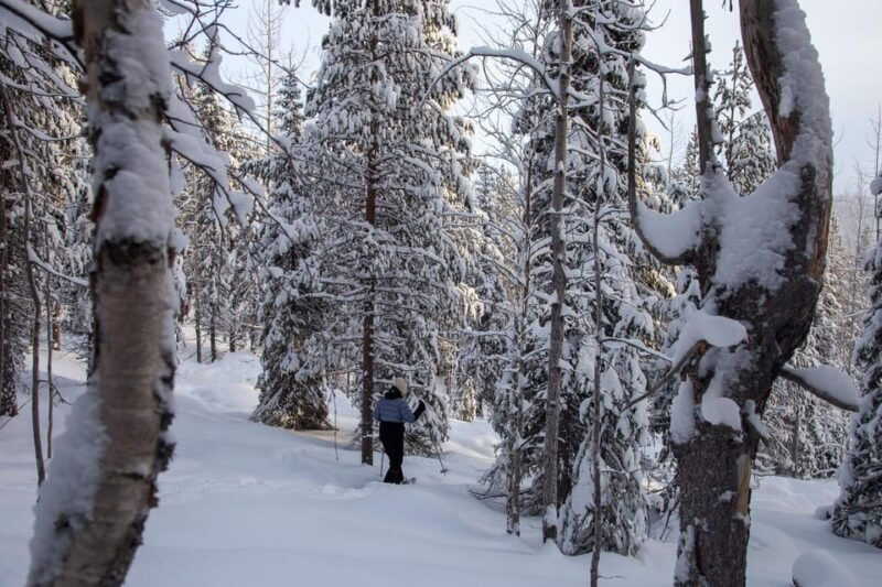 levi-lakeside-forest-snowshoeing