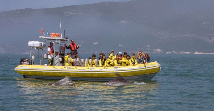 lisbon-arrabida-natural-park-dolphin-watching-boat-tour