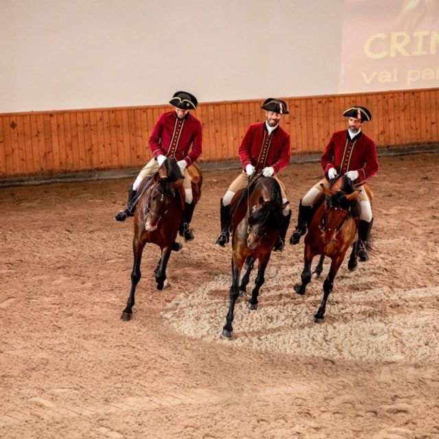 lisbon-portuguese-riding-school-trainig-with-lusitano-horse