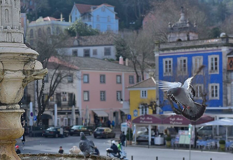 lisbon-sintra-pena-palace-quinta-regaleira-cascais-tour