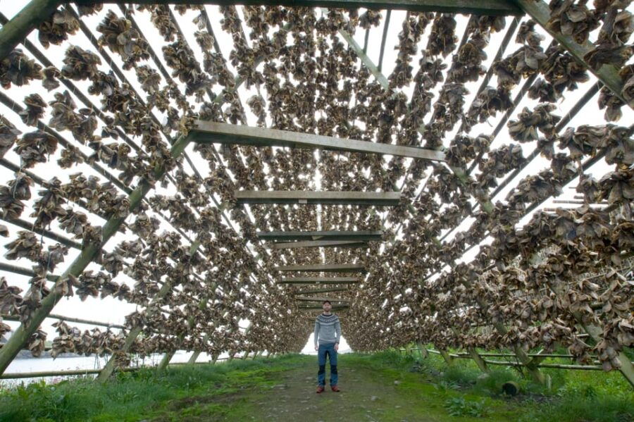 lofoten-private-tour-for-cruise-visitors-from-leknes