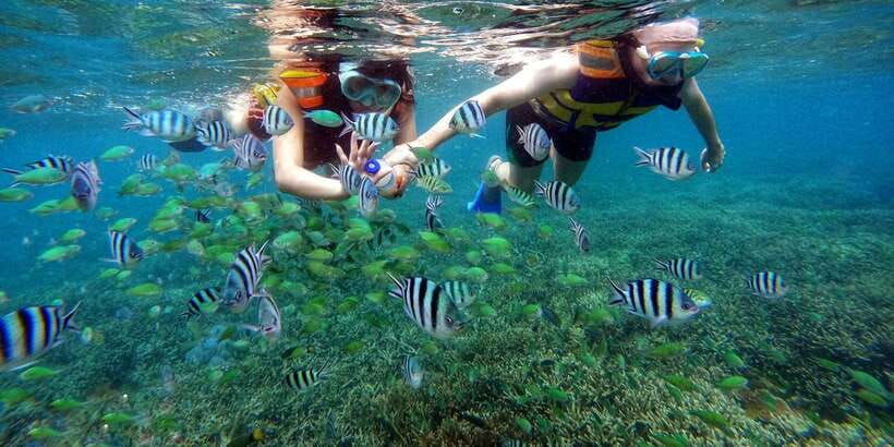 lombok-gili-nanggu-sudak-gili-kedis-private-snorkeling
