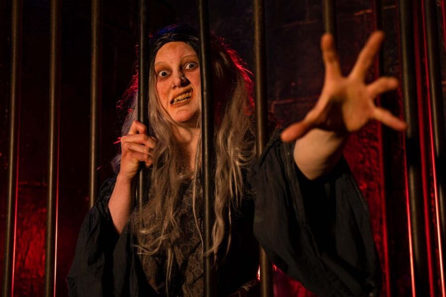 london-the-london-dungeon-and-london-eye-combo-ticket