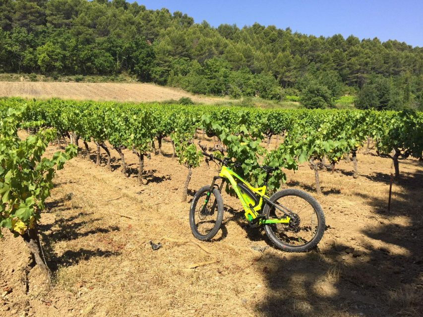 luberon-goult-vineyard-bike-tour