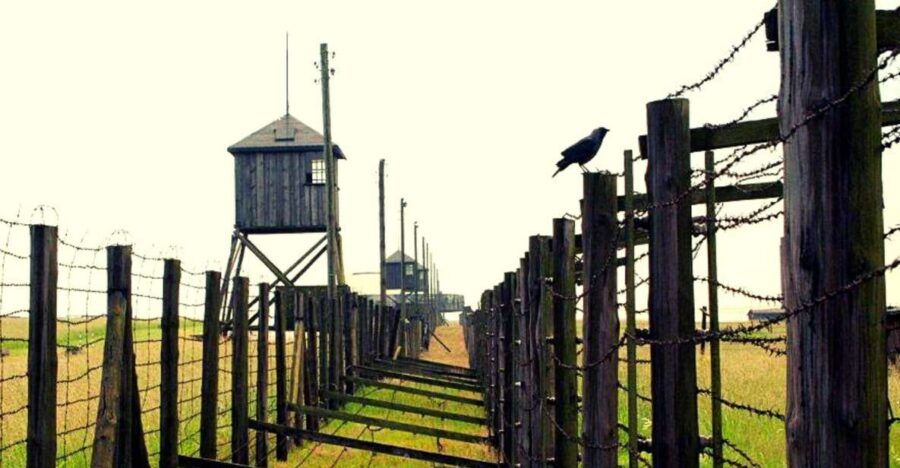 lublin-majdanek-small-group-tour-from-warsaw-with-lunch