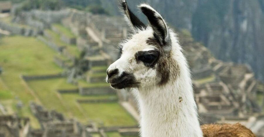 machupicchu-and-rainbow-mountain-tour-2-days-1-night