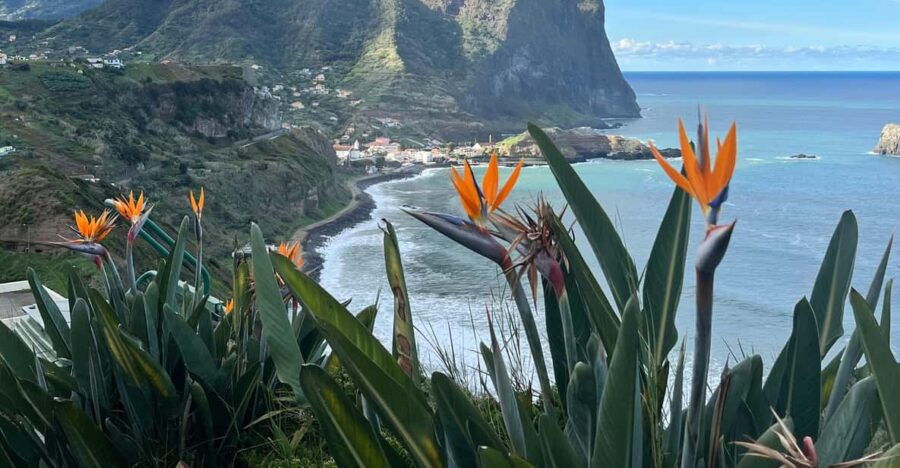 madeira-cliff-hanger-vereda-larano-hike-machico