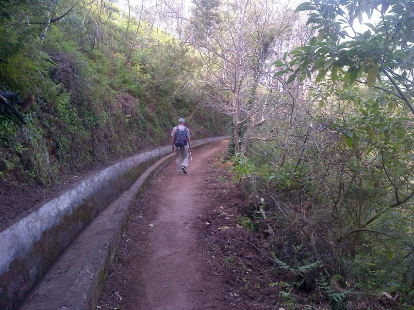 madeira-levado-do-norte-2-hour-hiking-tour