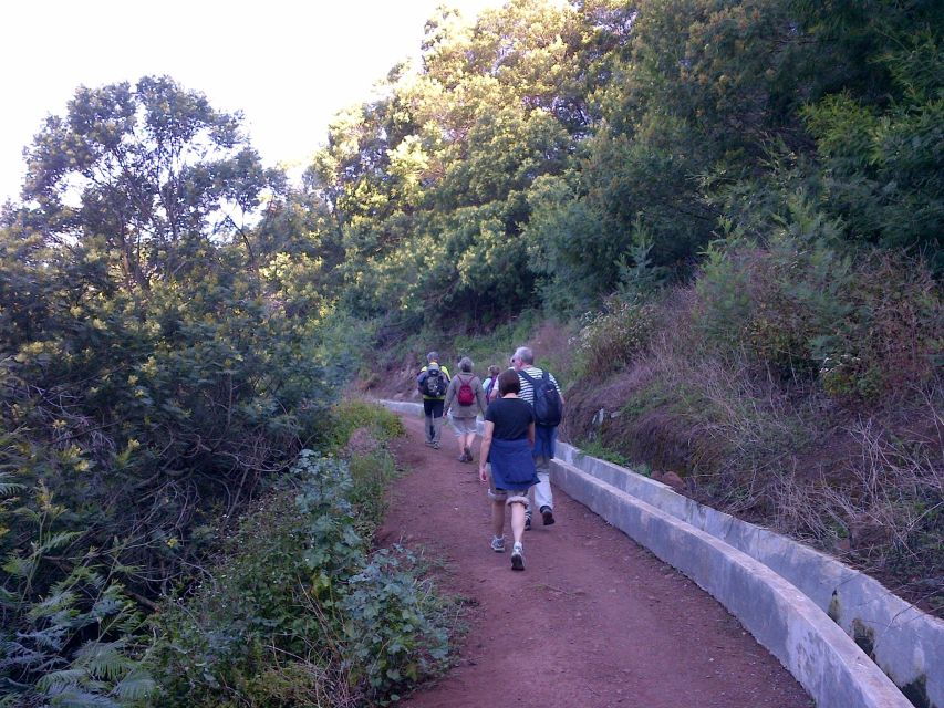 madeira-marocos-landscapes-2-5-hour-guided-walk