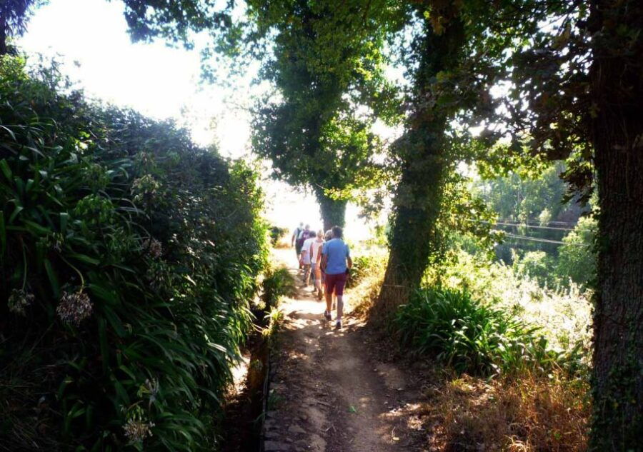 madeira-walking-tour-paradise-valley-rochao