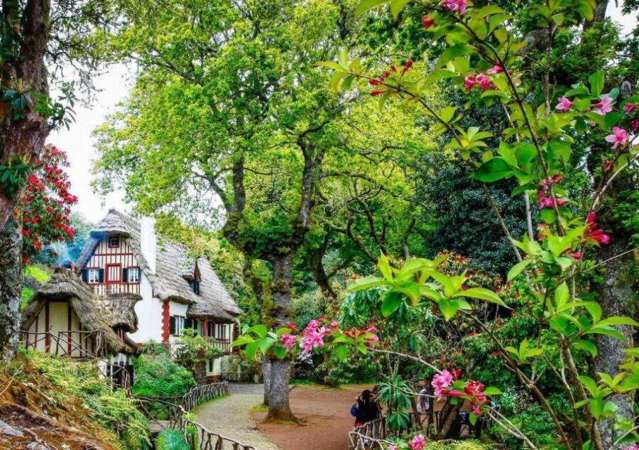 madeira-walking-tour-queimadas-caldeirao-verde