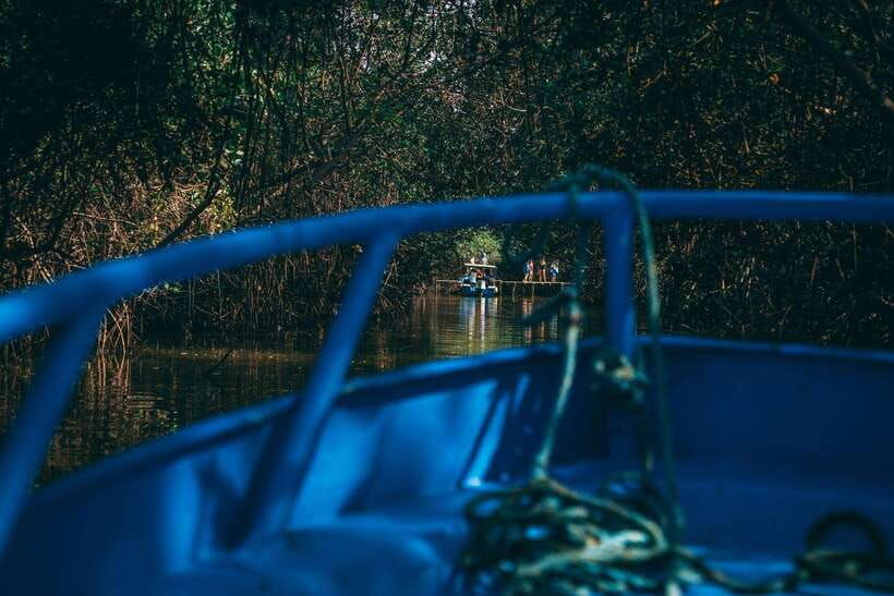 mangrove-mysteries-puerto-pizarro-tour