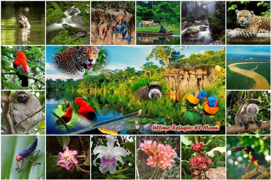 manu-park-paucartambo-pilcopata-3-days-includes-food