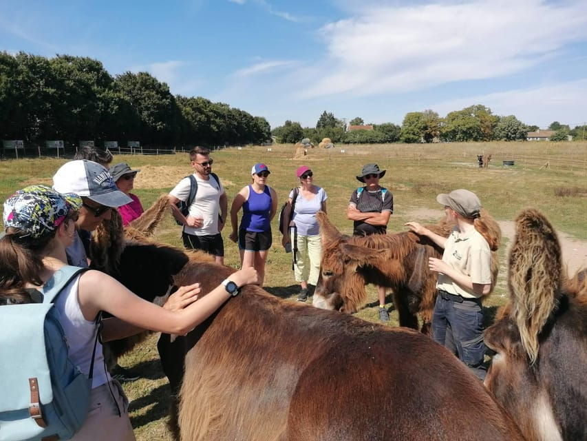 marais-poitevin-discovery-day-in-the-footsteps-of-the-baudet