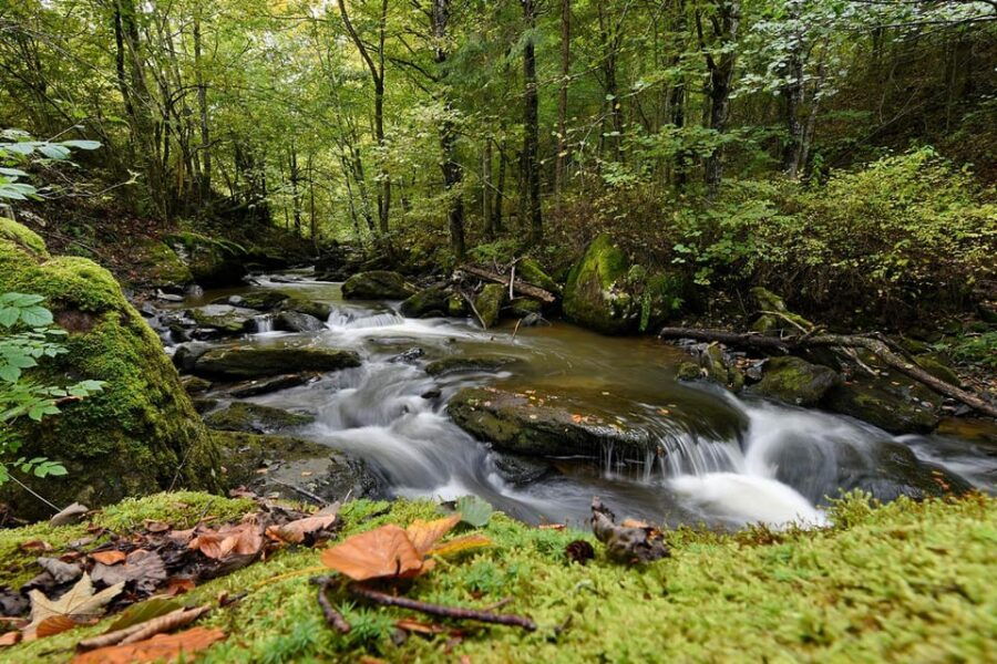 maramures-mountain-trail
