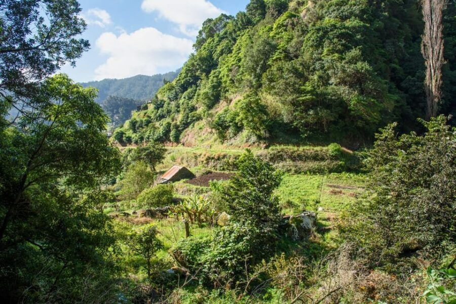 marocos-madeira-island-levada-walk