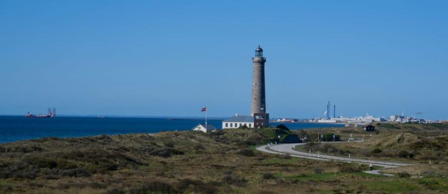 may-2025-denmark-birding-tour-with-skagen-fuglefestival