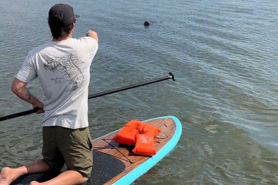 Merritt Island: Manatee Watching Paddle or Kayak Tour