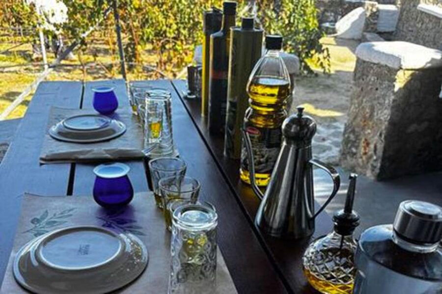 mykonos-olive-oil-tasting-experience