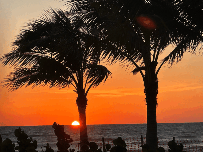 naples-florida-famous-sunset-tour-electric-trike-tour