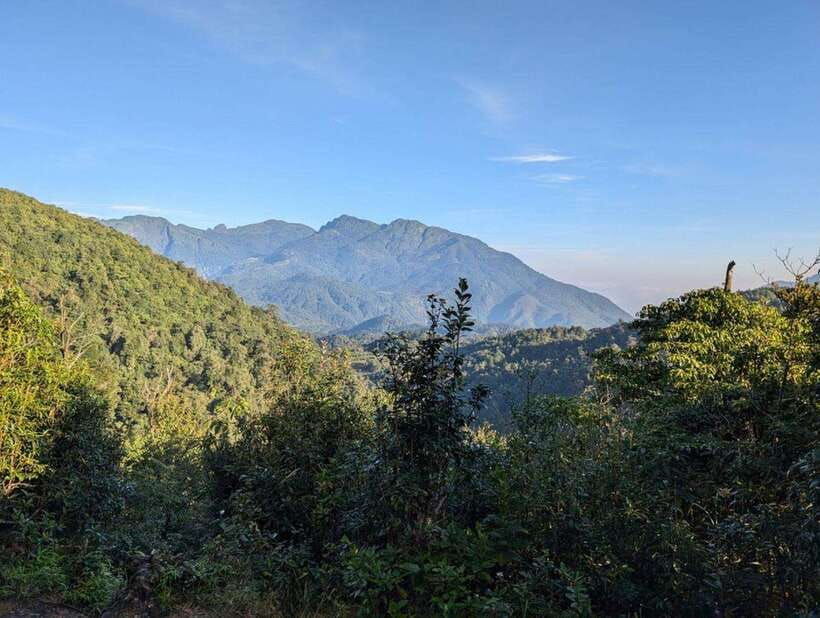 natural-the-1d-fansipan-peak-hmongsisterhousetrekking