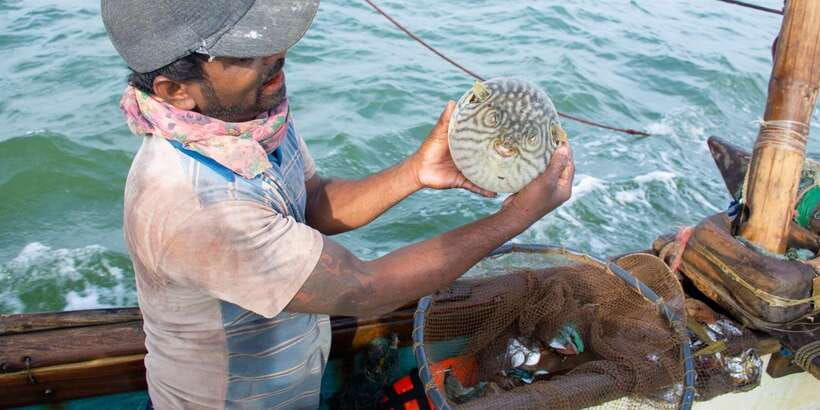 negombo-catamaran-sailing-with-traditional-fishermen