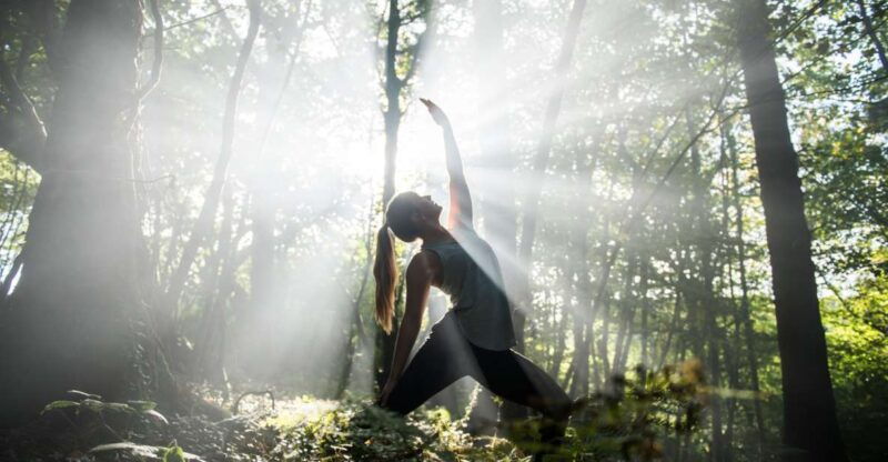newquay-surf-yoga-woodland-wild-camp