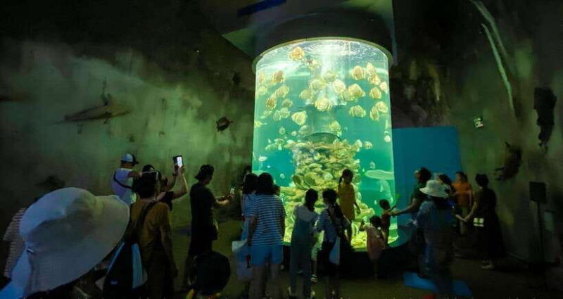 nha-trang-half-day-city-tour-with-local-lunch