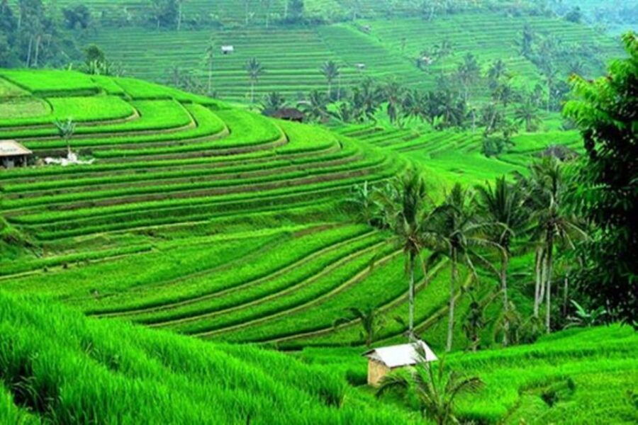 north-bali-highlight-with-waterfall-rice-terrace-temple