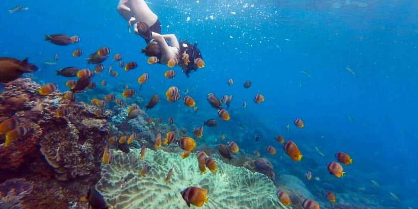 nusa-penida-full-day-guided-snorkeling-island-tour