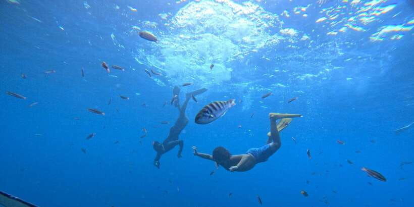 ocean-rider-enjoy-a-fun-experience-with-manta-rays