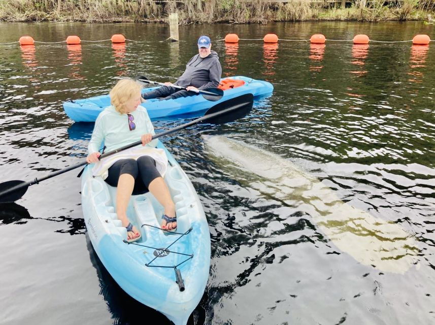 Orange City: Blue Spring State Park SUP & Kayaking Tour