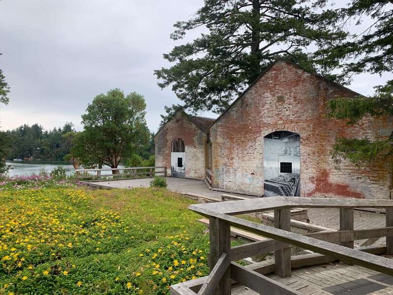 paddling-tour-to-the-historical-cole-island-victoria-bc