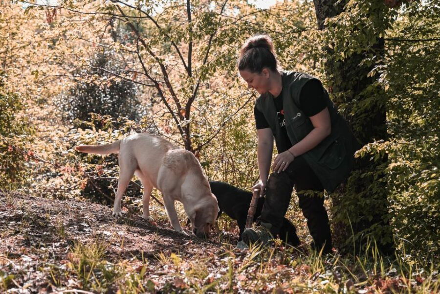 paladini-truffle-hunting-tour-with-3-course-tasting-menu
