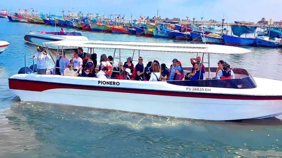 paracas-ballestas-islands-and-paracas-national-reserve-tour-2