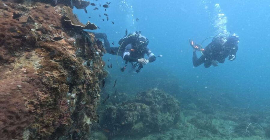 phu-quoc-scuba-diving-tour-one-day-in-ocean-phu-quoc