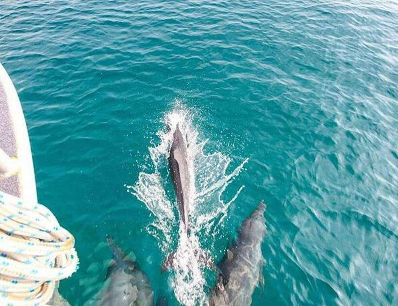 phuket-private-speed-boat-to-maiton-and-khai-islands