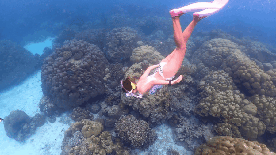 phuket-surin-island-by-speedboat