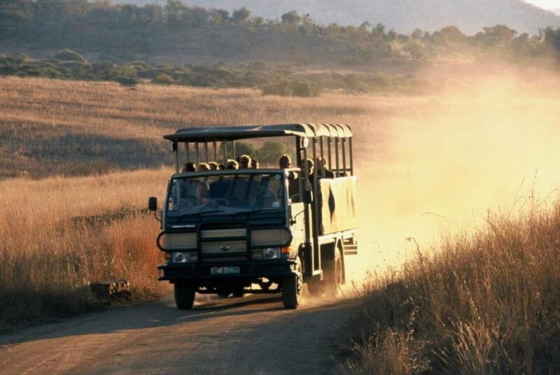 pilanesberg-national-park-6h-game-drive-with-lunch