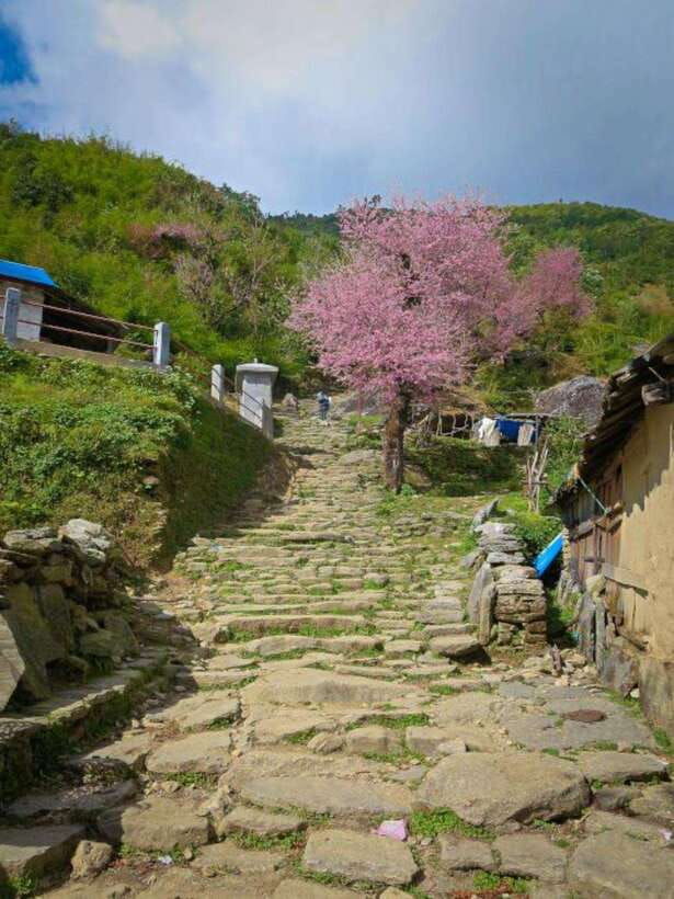 poon-hill-and-ghandruk-trek-7-days