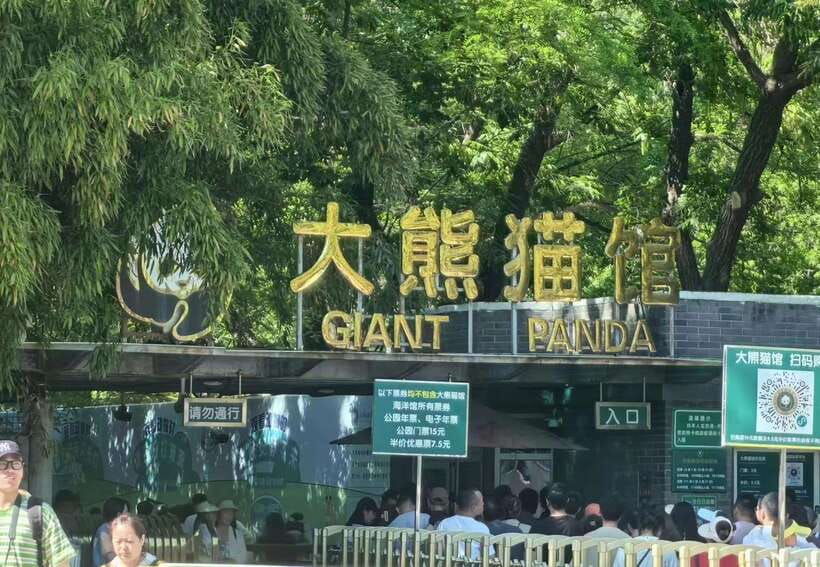 private-beijing-layover-tour-great-wall-and-panda-house