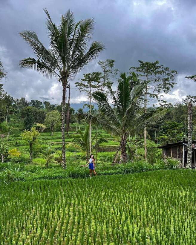 private-one-day-tour-authentic-tete-batu-sukarara-village