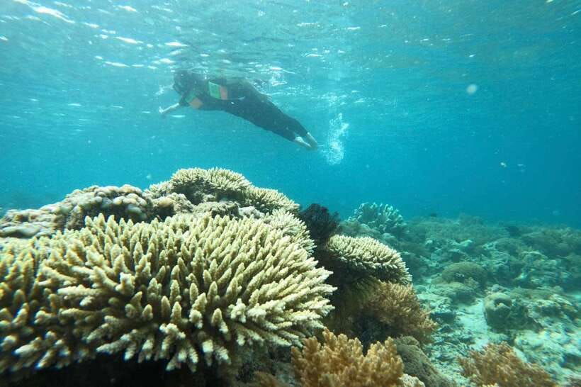 private-snorkeling-gili-gede-gili-asahan-gili-goleng-tour